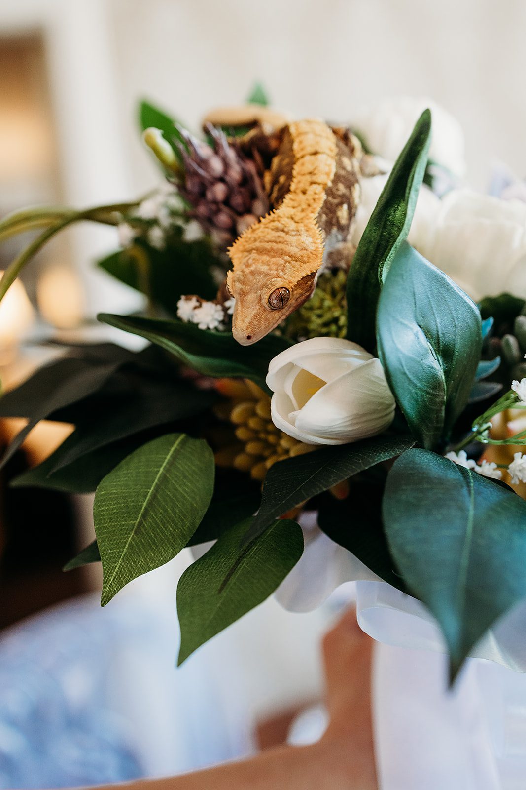 An orange lizard crawls through the bride's bouquet
