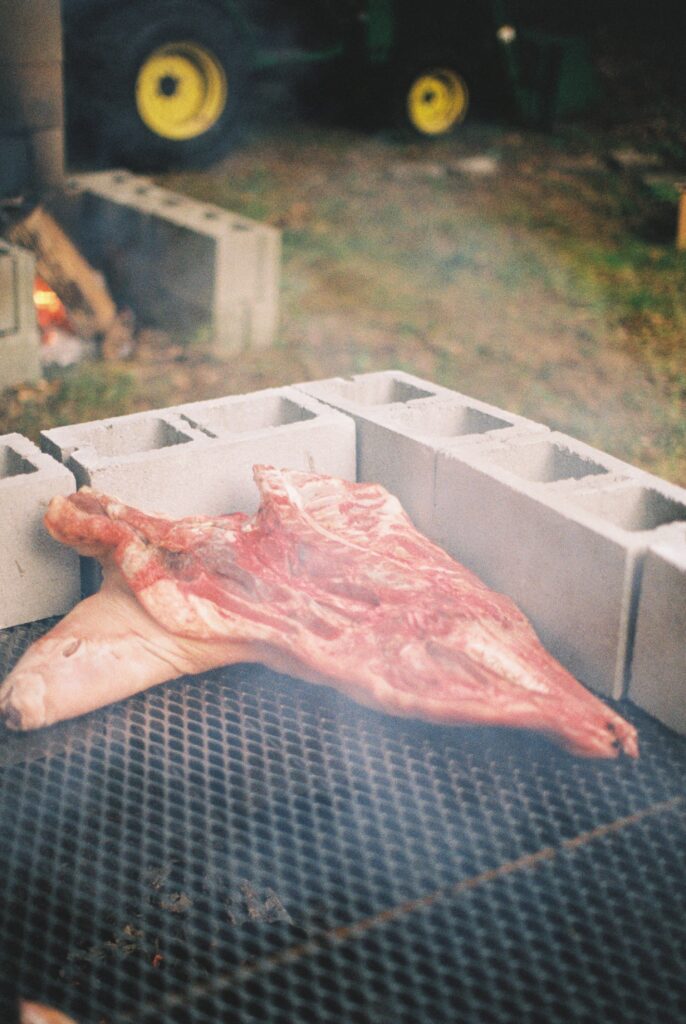 Pork roasts on a pit.