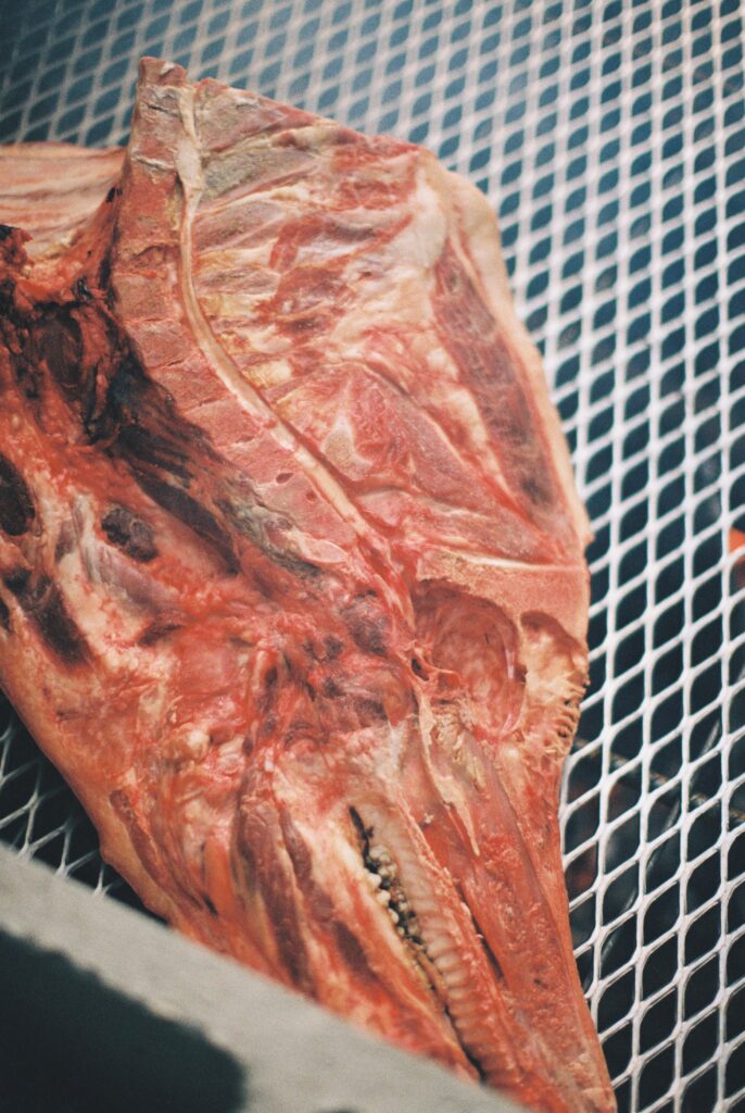 Pork sits on a grate roasting.