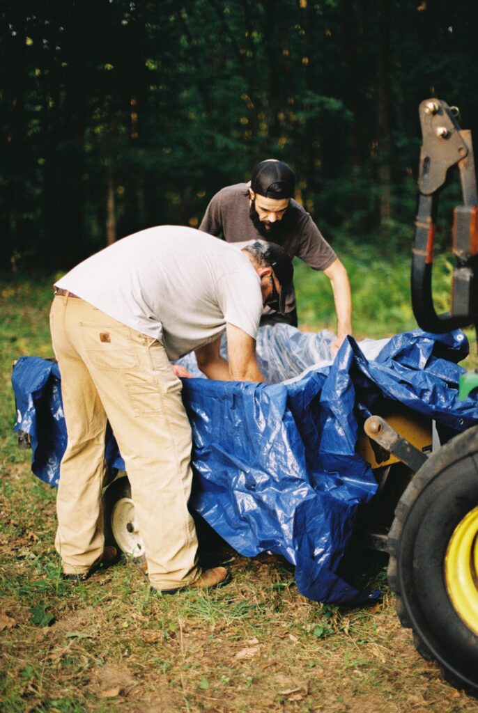 Two men place a pig on a tarp.