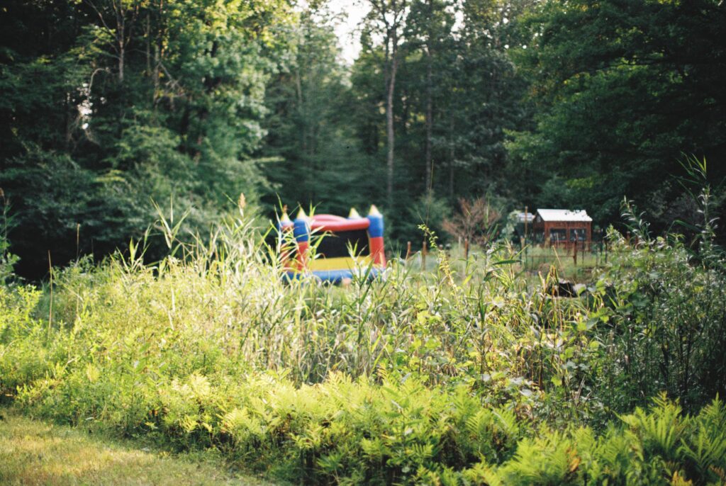 Flowers grow at the edge of a backyard on film photography.