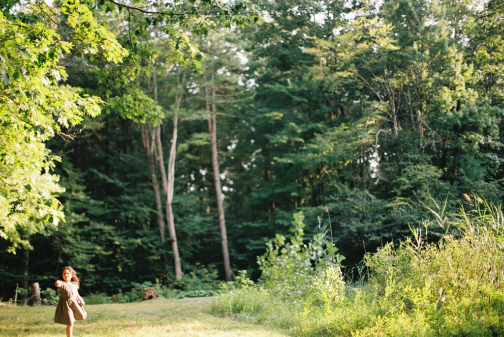 Trees grow beside a backyard in the Adirondacks.