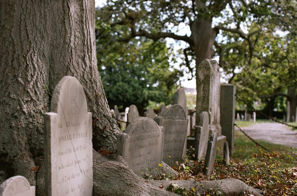 Gravestones sit between trees in a Salem cemetery.