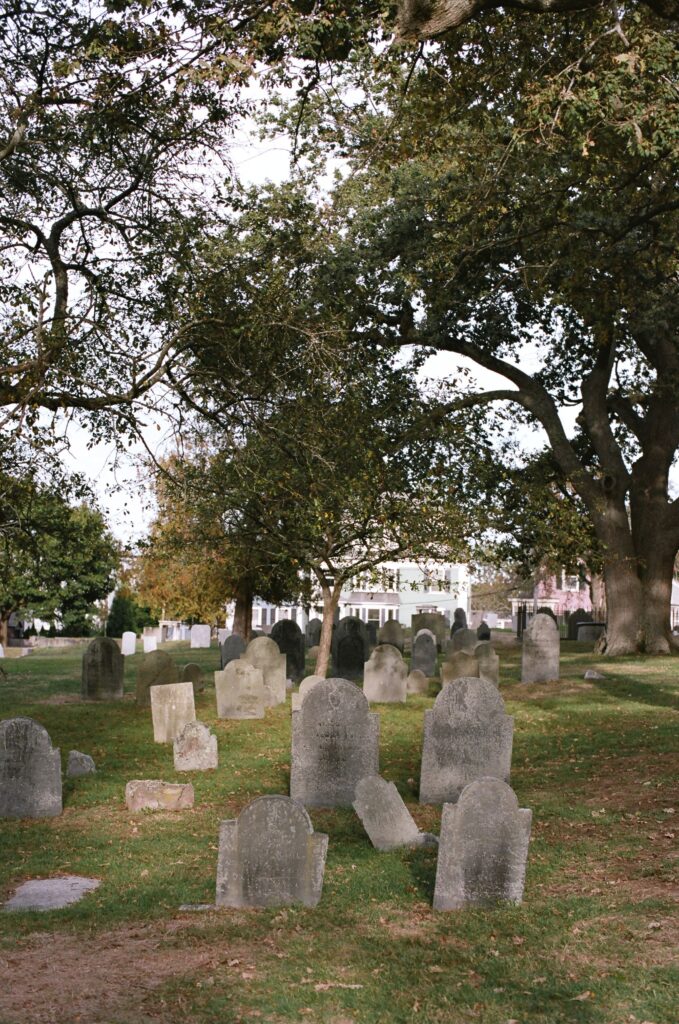 The sun is low over a cemetery.