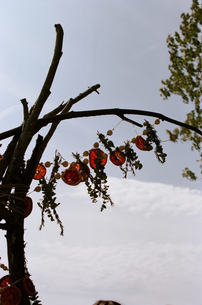 Oranges, eucalyptus adorn the handmade arch at a witchy wedding